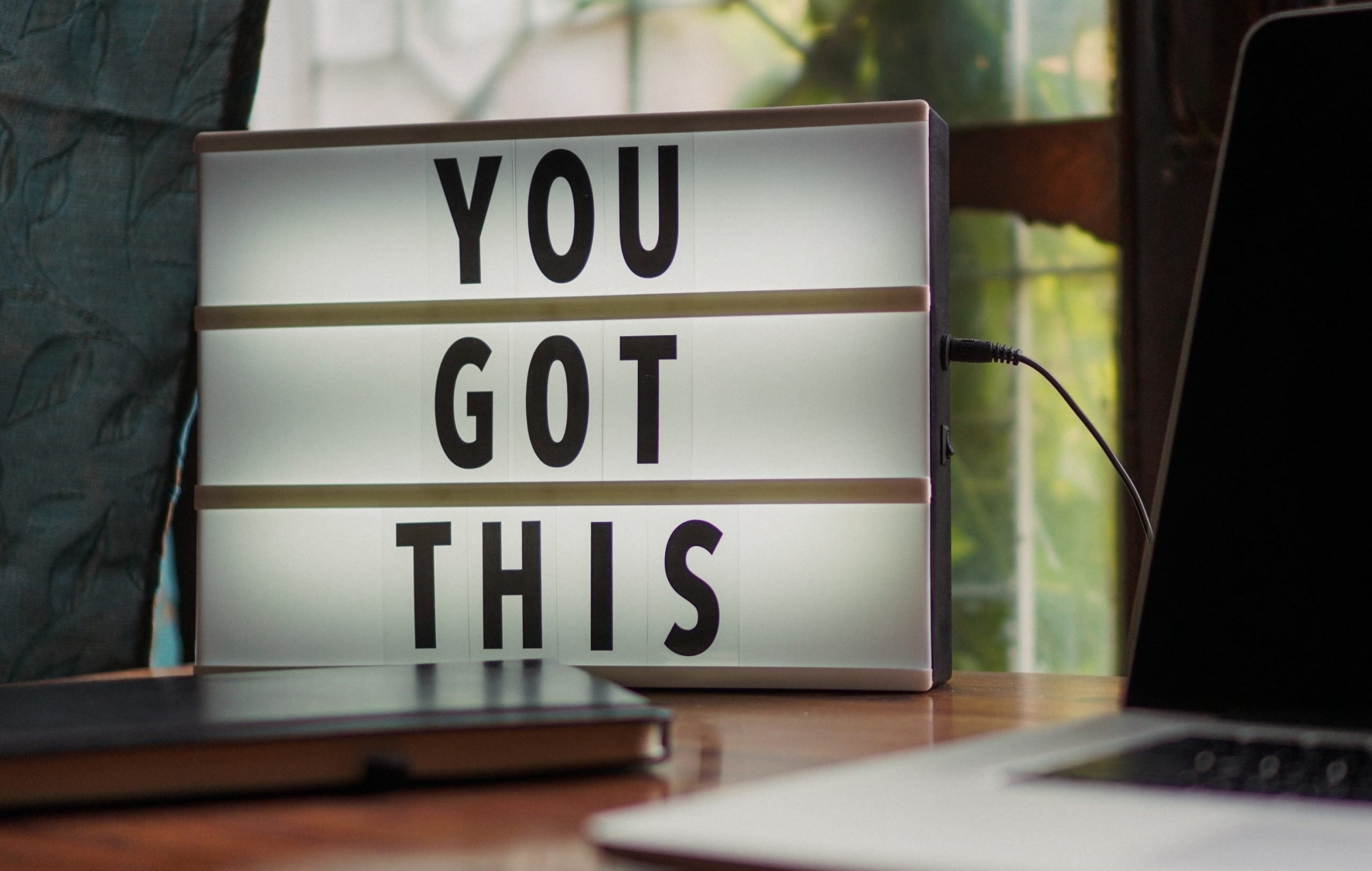 LifeRing eGroup sign next to a computer reading: You Got This!