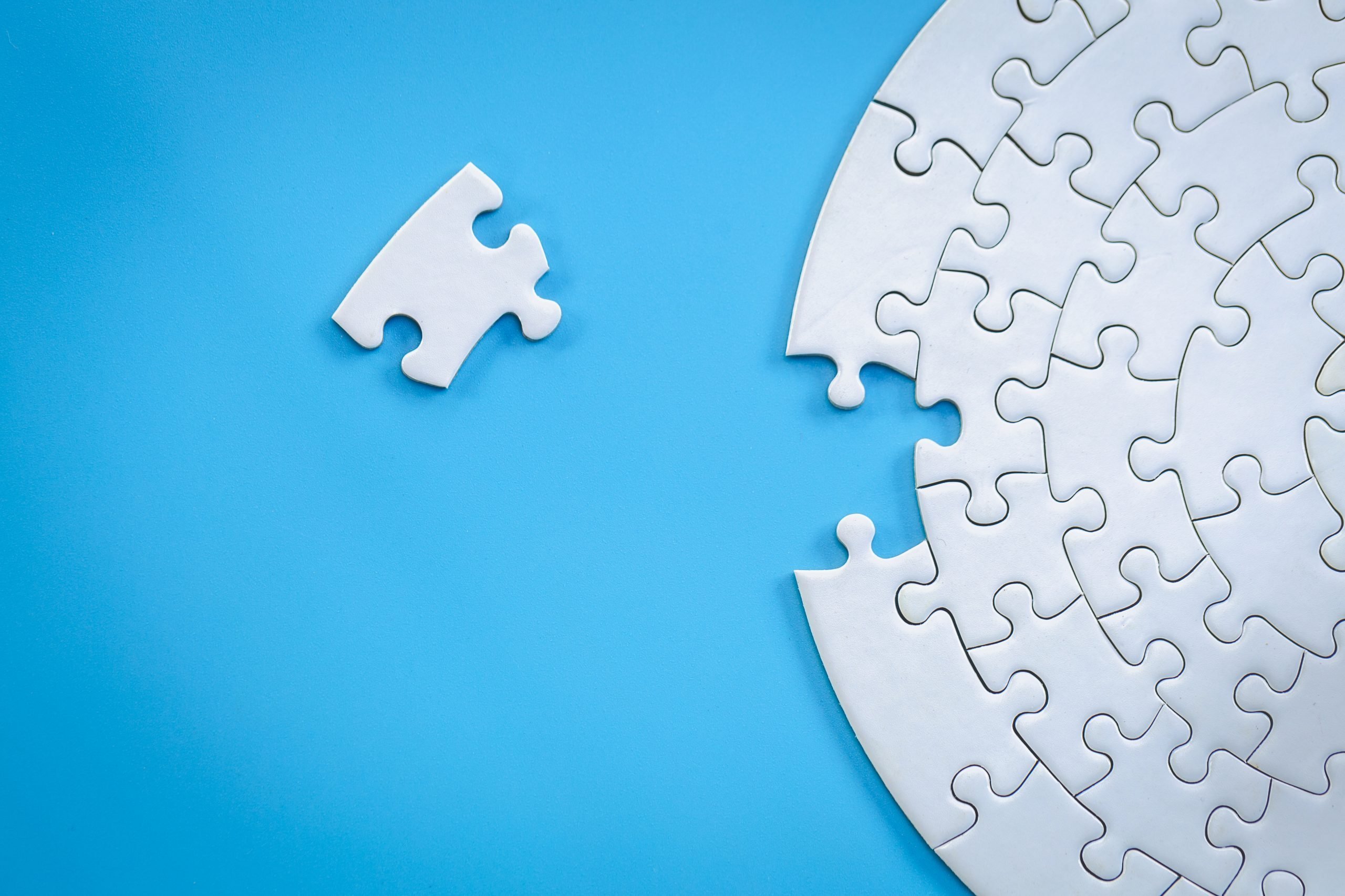 LifeRing offers focus meetings for people in recovery who face additional challenge. Image of jigsaw puzzle to show how we can help people in recovery become whole.