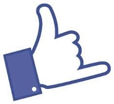 LifeRing throwing a facebook shaka