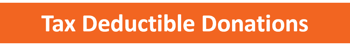 Click Box for LifeRing Tax Deductible Donations